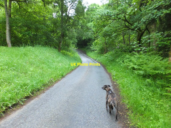 Photo 6"x4" Minor road near East Haugh of Ballyoukan Milton of Dalcapon c2016