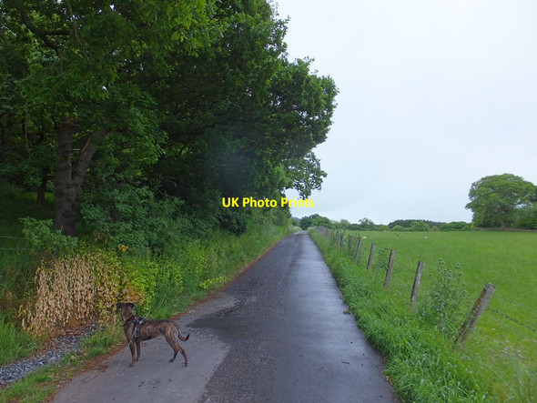 Photo 6"x4" Minor road by Pitcastle Milton of Dalcapon c2016