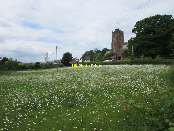 Photo 6"x4" Meadow by the River Kenn Kenn\/SX9285 c2016
