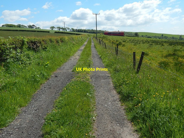 Photo 6"x4" Path to Low Milndovan Cardross\/NS3477 c2016