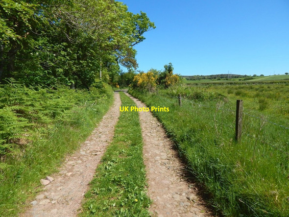 Photo 6"x4" Path to Low Milndovan Cardross\/NS3477 c2016