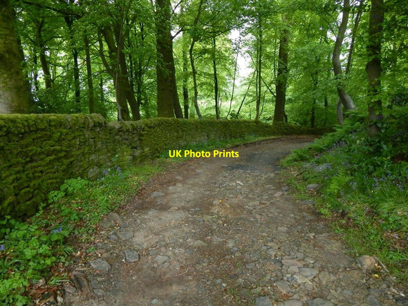 Photo 6"x4" Curving track leading to a ford Cardross\/NS3477 c2016