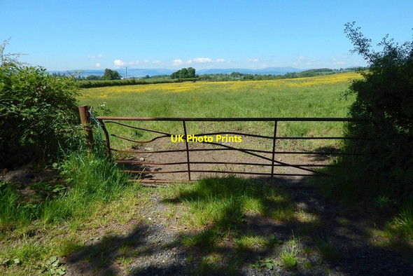 Photo 6"x4" Field gate Cardross\/NS3477 c2016