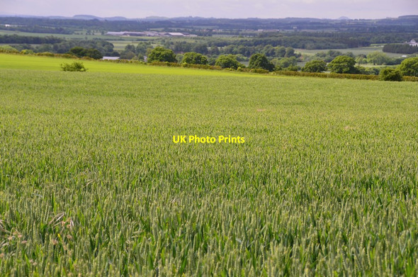 Photo 6"x4" Arable field north of Chirnside Chirnside c2016