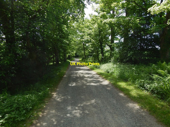 Photo 6"x4" Path to Red Road Kelhurn c2016