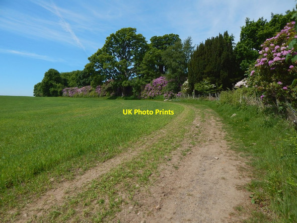 Photo 6"x4" Path following northern edge of field Kelhurn c2016