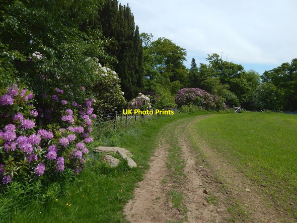 Photo 6"x4" Path following northern edge of field Kelhurn c2016 P1