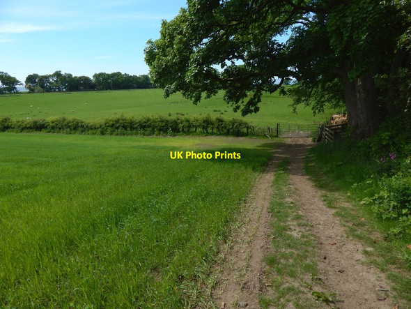 Photo 6"x4" Path following northern edge of field Kelhurn c2016 P2