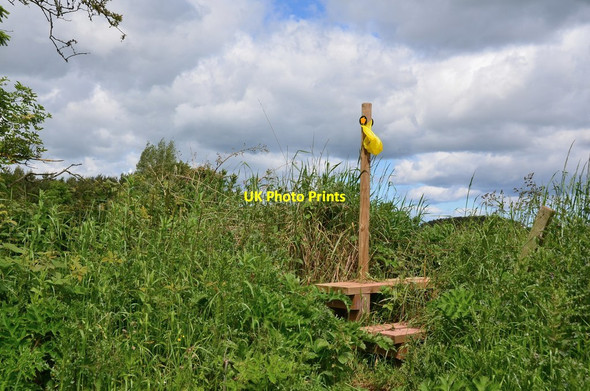 Photo 6"x4" Stile near Quarter Well, Chirnside Chirnside c2016