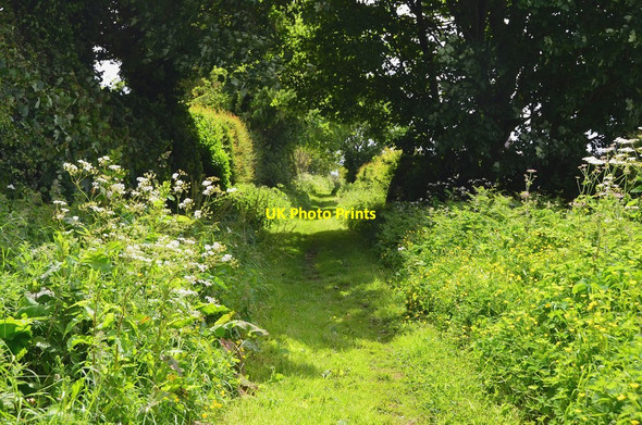 Photo 6"x4" Market Road path, Chirnside Chirnside c2016