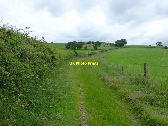 Photo 6"x4" The bridleway up to Lupton High Lupton c2016