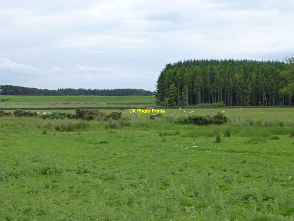Photo 6"x4" Bridleway to Broom House Kirkwhelpington c2016