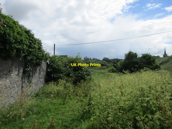 Photo 6"x4" Grazing land, Cahir Caher c2016