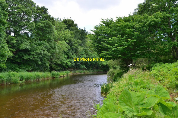 Photo 6"x4" The Whiteadder Water near Chirnside Chirnsidebridge c2016