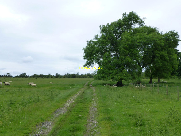 Photo 6"x4" Track near Elf Hills Cambo\/NZ0285 c2016
