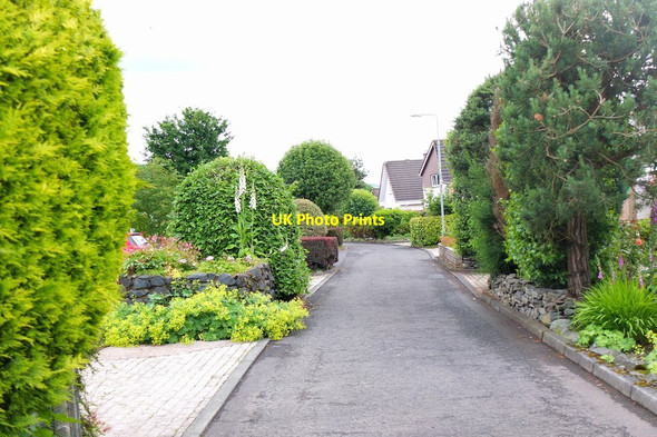 Photo 6"x4" South Park West, Peebles Peebles\/NT2540 c2016