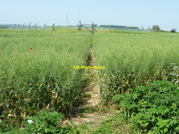 Photo 6"x4" Path to a covered reservoir, Lane End Down Lane End\/SU5525 c2016