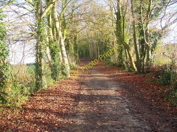 Photo 6"x4" Avon Valley Path near Nunton Nunton c2008