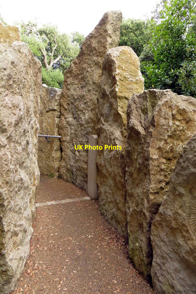 Photo 6"x4" Pathway on Durlston Head Swanage c2014