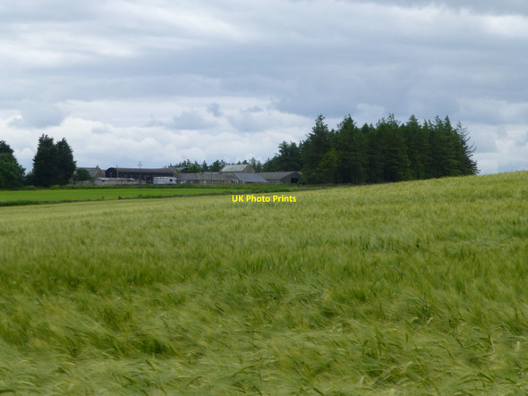 Photo 6"x4" Greatlaw Farm Capheaton c2016