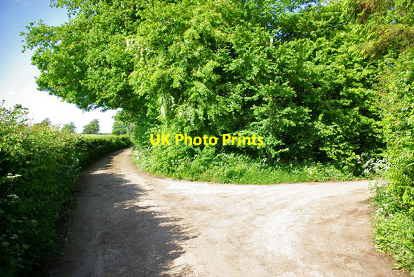 Photo 6"x4" Lane junction near North Leigh North Leigh\/TR1347 c2007