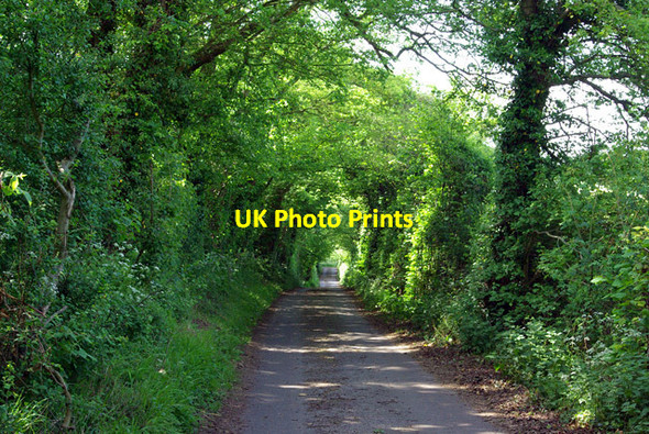 Photo 6"x4" Whiteacre Lane Whiteacre c2007
