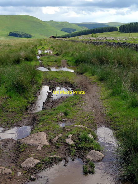Photo 6"x4" Dere Street north of Pennymuir Chatto c2016
