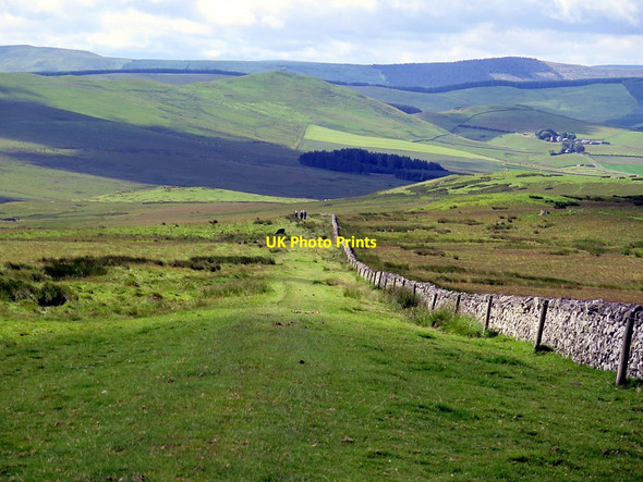 Photo 6"x4" Dere Street south of Trestle Cairn Chatto c2016