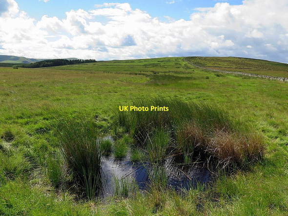 Photo 6"x4" Pond near Five Stanes Stone Circle Chatto c2016