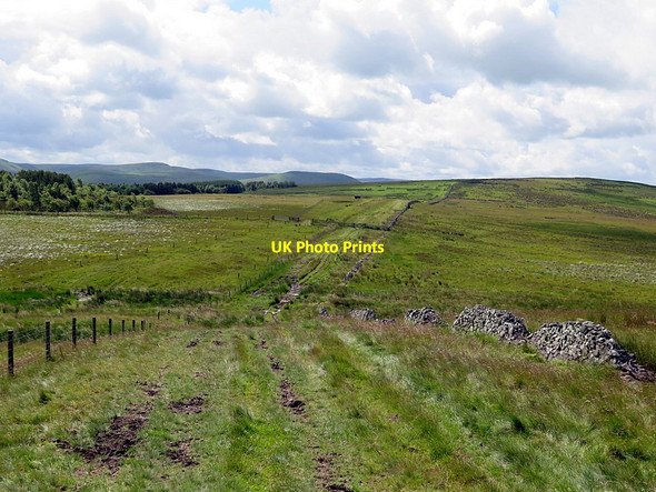 Photo 6"x4" Dere Street near Rashy Knowe Chatto c2016