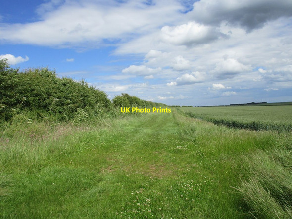 Photo 6"x4" Bridleway across Huggate Heads Huggate c2016