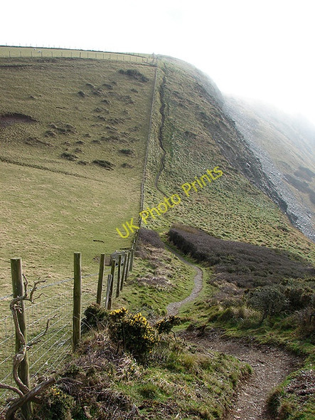 Photo 6"x4" The Ceredigion Coastal Path Upper Borth c2009