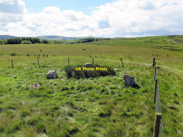 Photo 6"x4" Five Stanes Stone Circle Chatto c2016