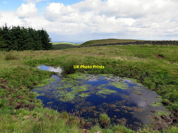 Photo 6"x4" Pond on Scaw'd Law near Dere Street Swinside Hall c2016