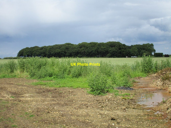 Photo 6"x4" View towards Lodge Farm Fridaythorpe c2016