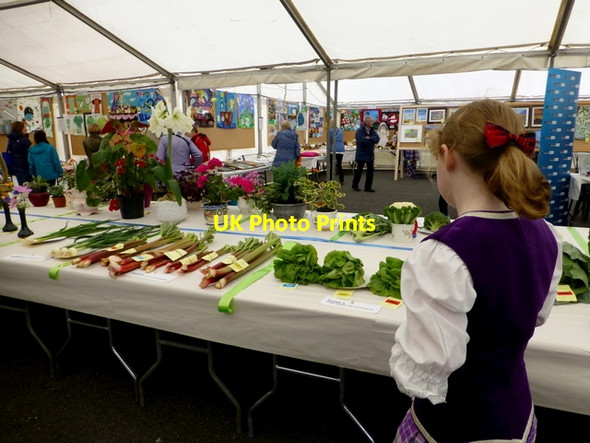 Photo 6"x4" 176th Omagh Annual Agricultural Show 2016 -102 Omagh c2016