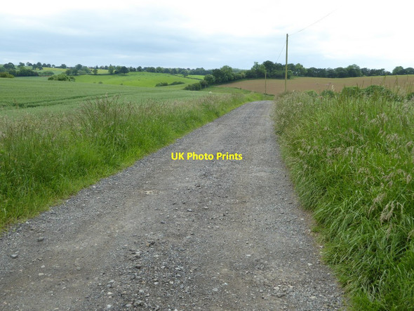 Photo 6"x4" Farm road to Liveridge Farm Heightington c2017