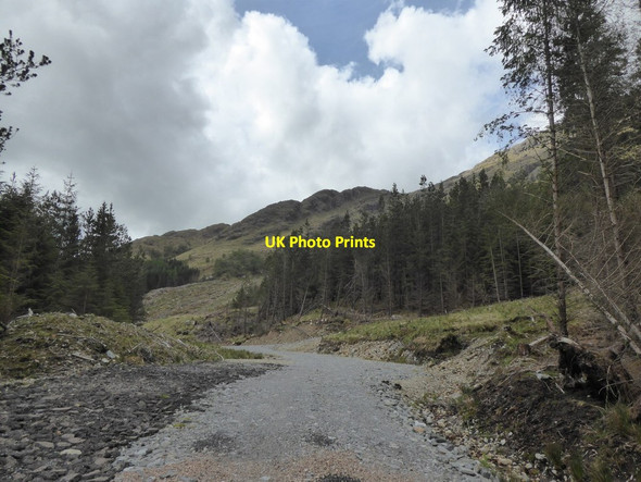 Photo 6"x4" Recently constructed forestry track at Glenfinnan Glenfinnan c2017