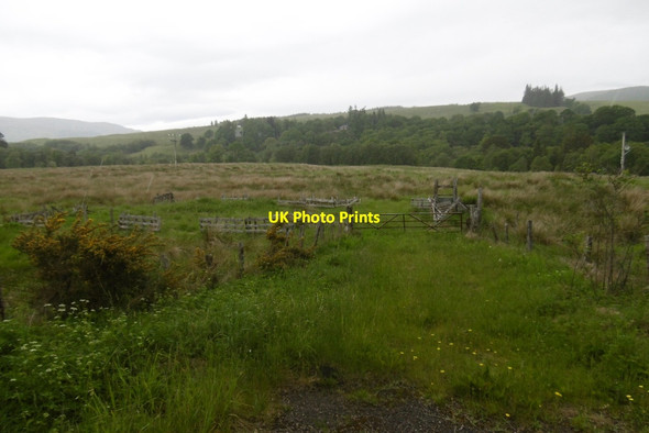 Photo 6"x4" Rough grazing, Spean Bridge Aonachan c2017