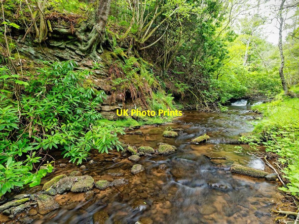 Photo 6"x4" The Killen Burn Killen\/NH6758 c2017