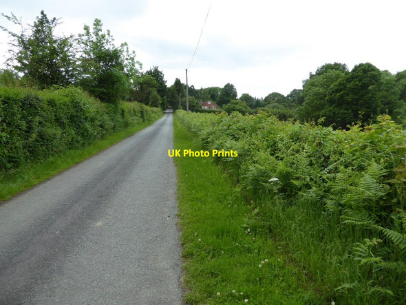 Photo 6"x4" Country road near Callow Hill Callow Hill\/SO7473 c2017