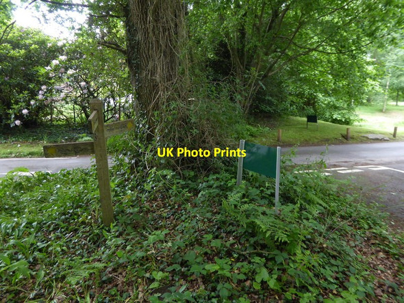 Photo 6"x4" Signpost for footpath crossing in Wheatsheaf Enclosure Newtown\/SU8430 c2017