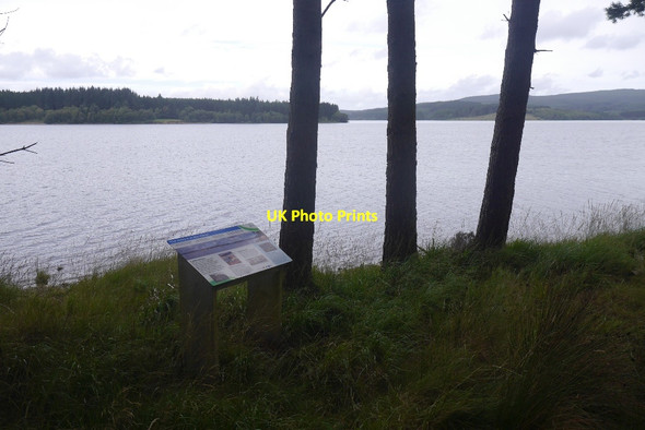 Photo 6"x4" Kielder Water Rushy Knowe\/NY6588 c2016