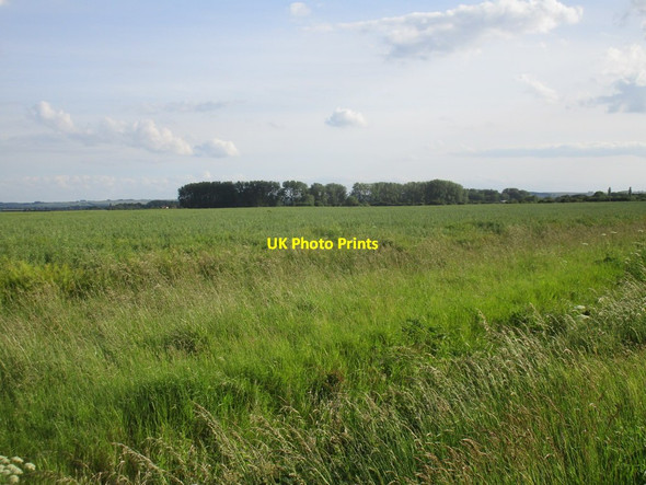 Photo 6"x4" The Marsh near Tetney North End\/TA3101 c2017