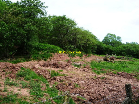 Photo 6"x4" Disturbed ground at Garn Farm Capel-y-ffin c2017