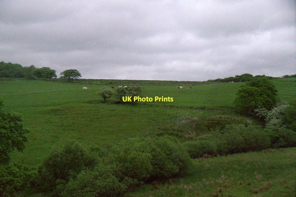 Photo 6"x4" Fields beside the Shotts Burn at Salsburgh Salsburgh c2017