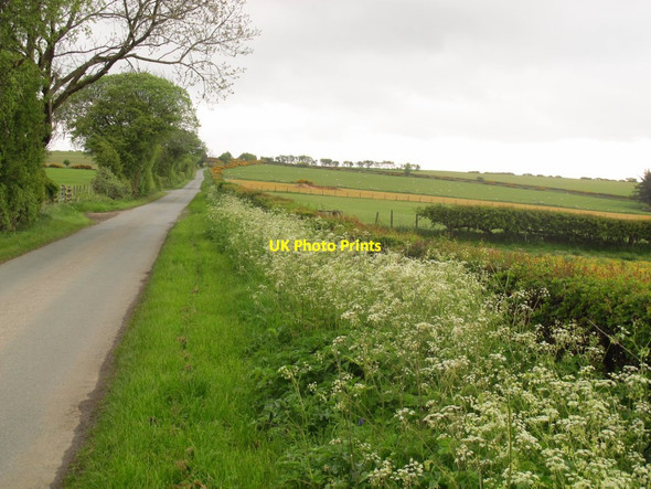 Photo 6"x4" Road along the ridge above Glyn Ceiriog Llangollen c2017