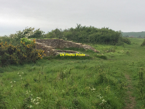 Photo 6"x4" Lime kiln on Limekiln Hill Puncknowle c2017