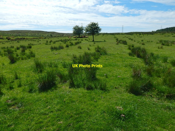 Photo 6"x4" Furrowed area near Glenburn Reservoir Gateside\/NS4858 c2017