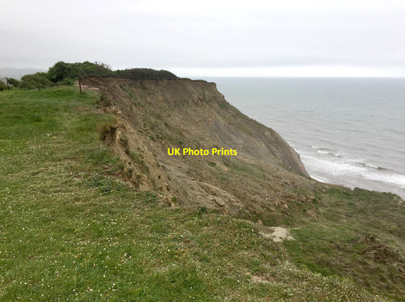 Photo 6"x4" West Cliff, West Bay Bridport c2017